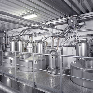 powder pneumatic conveying system
