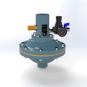 pulsation dampener