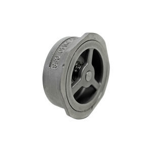 check valve strainer 1