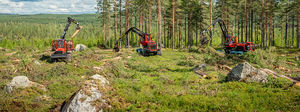 forestry forwarder 1