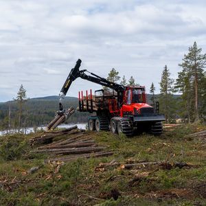 forestry forwarder 1