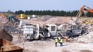 撞击破碎的植物