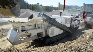 撞击破碎的植物