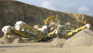 撞击破碎的植物