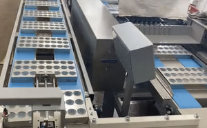 candy food industry production line 1