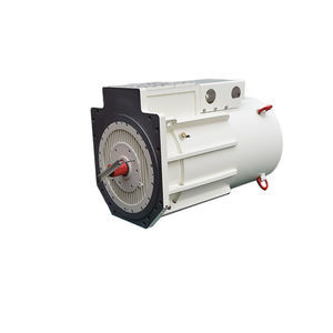asynchronous motor