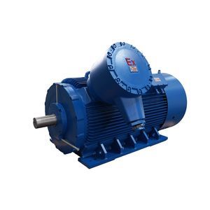 explosion-proof motor