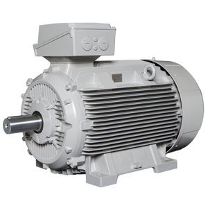 explosion-proof motor 1