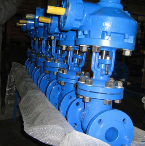 cast steel valve