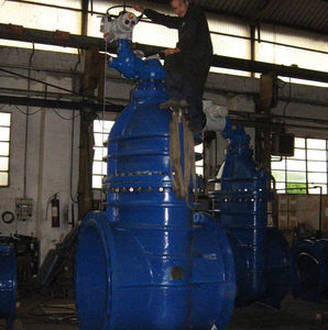 gate valve