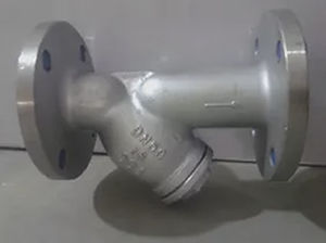 Y strainer