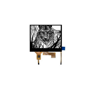 E-Paper display module