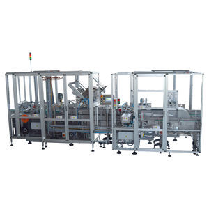intermittent-motion case packer