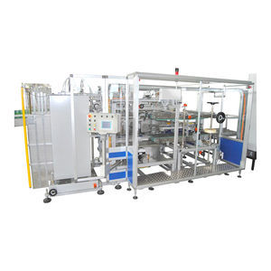intermittent-motion case packer