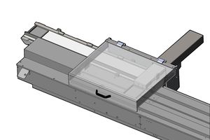 transfer system for the food industry