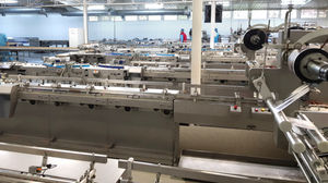 automatic packaging machine