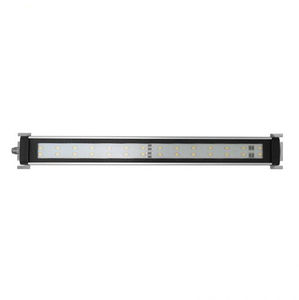 white LED 1