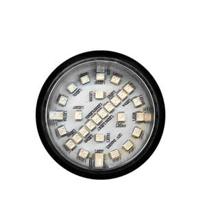 steady indicator light