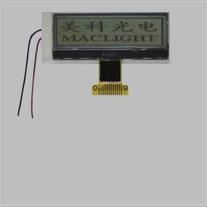 LCD display module 1
