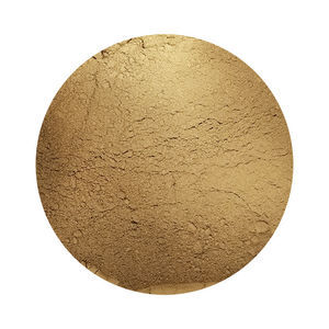 magnetic powder