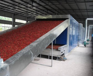 dried fruits production line