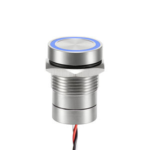 capacitive switch