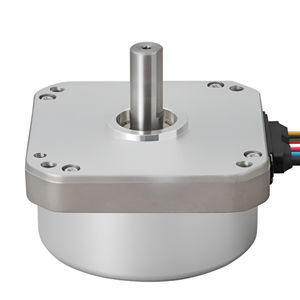 brushless motor