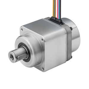 DC gear-motor