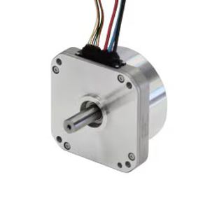 brushless motor