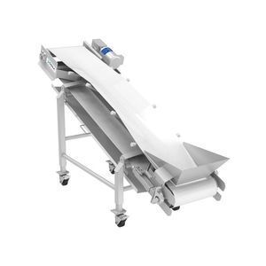 belt conveyor