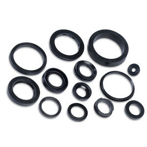 oil seal