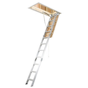 aluminum ladder 1