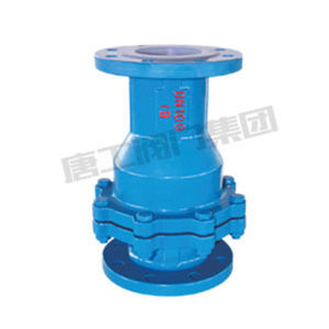 swing check valve