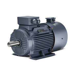 induction motor