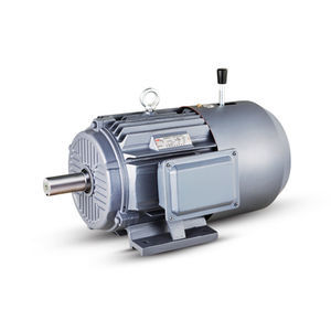 motor with built-in electromagnetic brake
