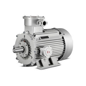 flameproof motor