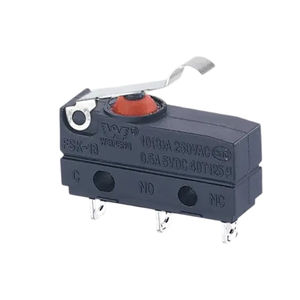 lever micro-switch