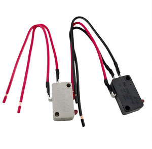 lever micro-switch
