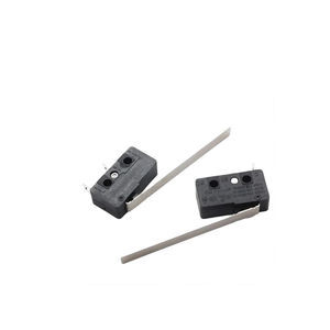 lever micro-switch