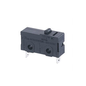 lever micro-switch