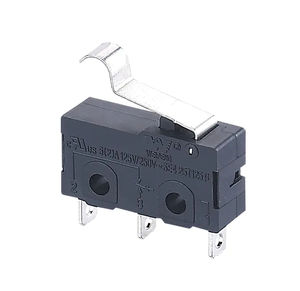 lever micro-switch