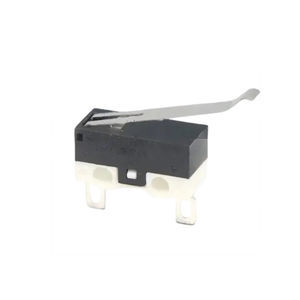 lever micro-switch