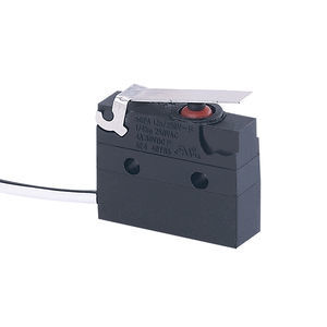 lever micro-switch
