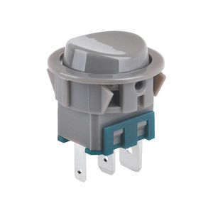 rocker switch