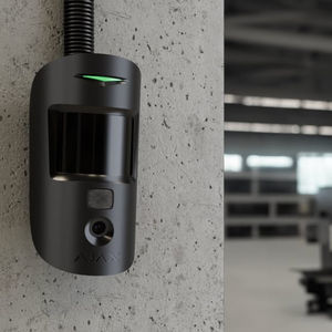 intrusion detector