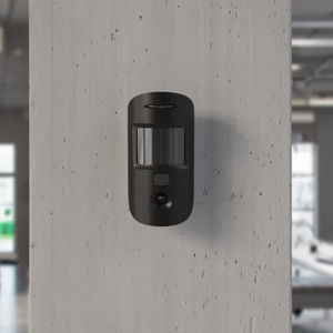 motion detector