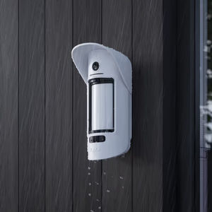 motion detector