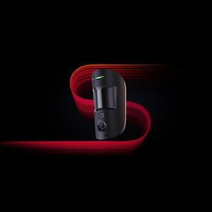 motion detector