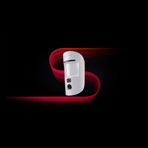 motion detector