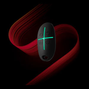 remote keyless entry system